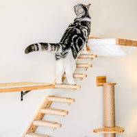 HKM-4247741 Multi-Layer Wooden Cat Wall Ladder - Pine Springboard Stairs for Play and Climbing