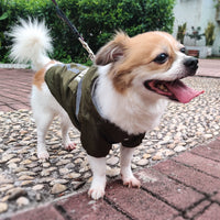 HKM-4251709 Waterproof Hooded Pet Raincoat with Reflective Strips - Foldable & Storage-Friendly