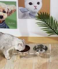 HKM-4252605 Acrylic Pet Feeder - Eco-Friendly Transparent Feeding Rack for Cats and Dogs