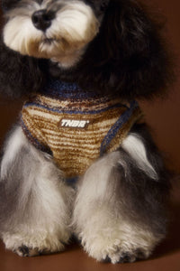 HKM-4253885 Rainbow Striped Sleeveless Sweater Vest for Dogs - Casual Pet Clothing in Blue and Red, Sizes XS to XXL