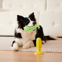HKM-4262333 Interactive Squeaky Dog Balls - 4 Pack Teething Chew Toys for Teeth Cleaning and Training Small Dogs