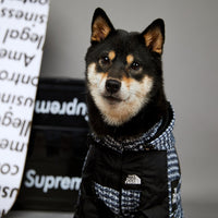 HKM-4262461 Windproof and Rainproof Dog Raincoat Shell Jacket in Black, Blue, and Red Rivet - Available in Sizes Small to 5XL