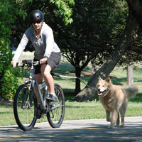 HKM-4270397 Stainless Steel Dog Walking Leash with Handheld Grip and Stretchable Design