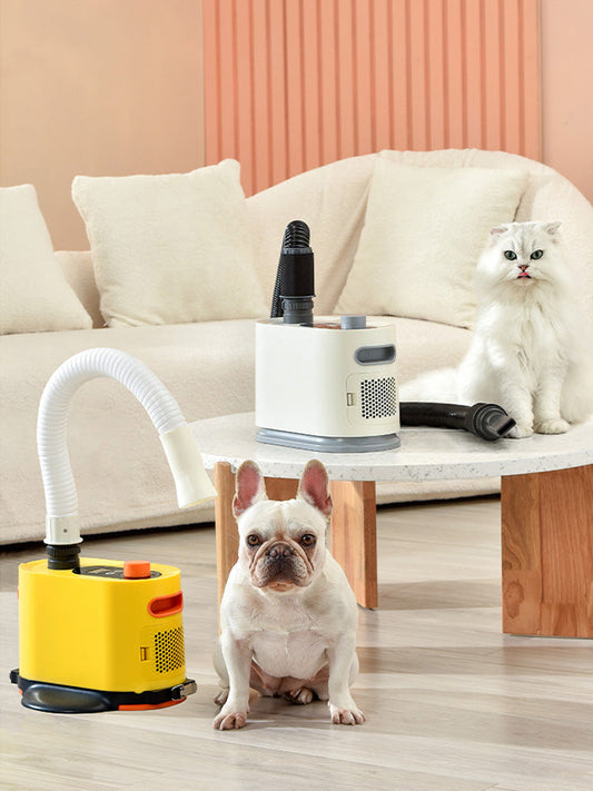 HKM-4272189 Powerful 2000W Dog Blower for Efficient Bathing and Drying - Model PKY-21G01