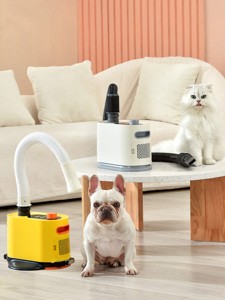 HKM-4272189 Powerful 2000W Dog Blower for Efficient Bathing and Drying - Model PKY-21G01