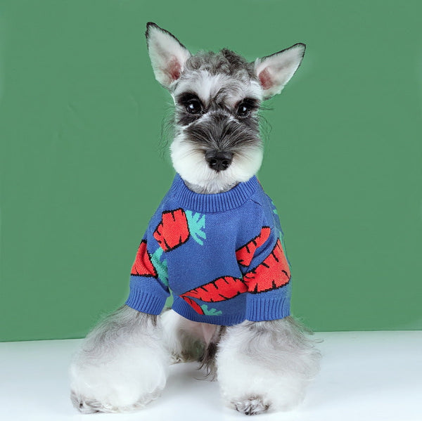 HKM-4274365 Schnauzer Teddy Winter Thick Wool Carrot Sweater for Dogs and Cats