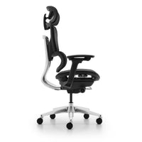 HKM-427539 Ergonomic Multi-Function Mesh Executive Office Chair with Adjustable Armrests