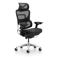 HKM-427539 Ergonomic Multi-Function Mesh Executive Office Chair with Adjustable Armrests
