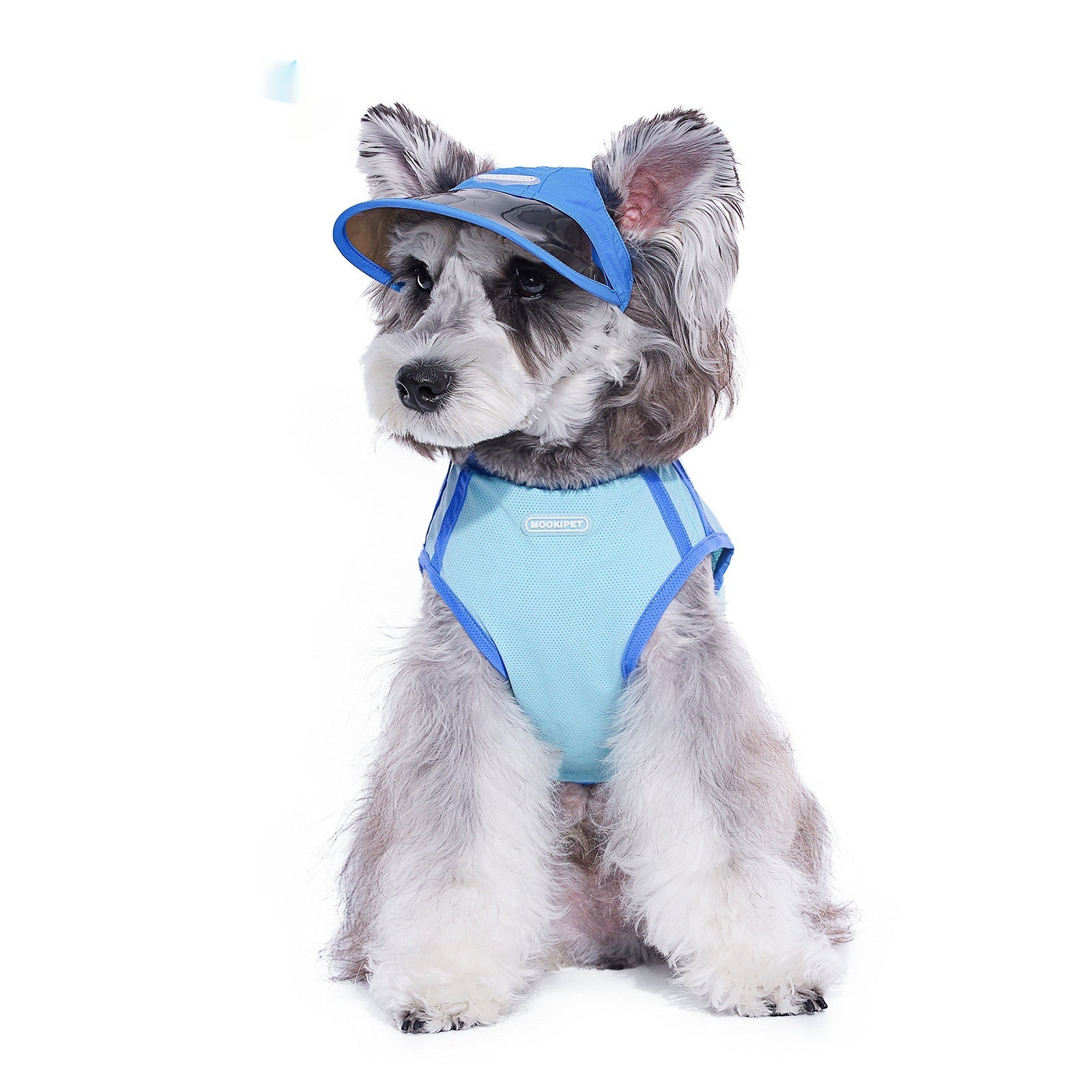 HKM-4280893 Blue Nylon Dog Hat for Small Dogs - Casual Style for Spring and Autumn