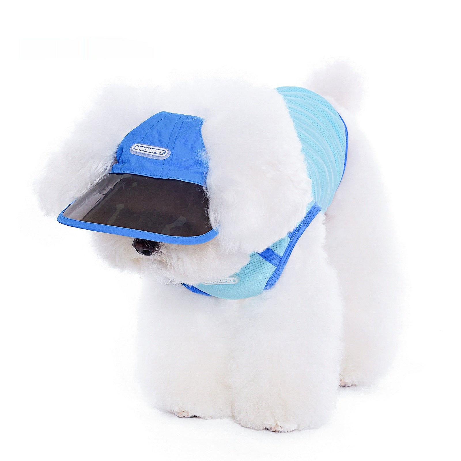 HKM-4280893 Blue Nylon Dog Hat for Small Dogs - Casual Style for Spring and Autumn