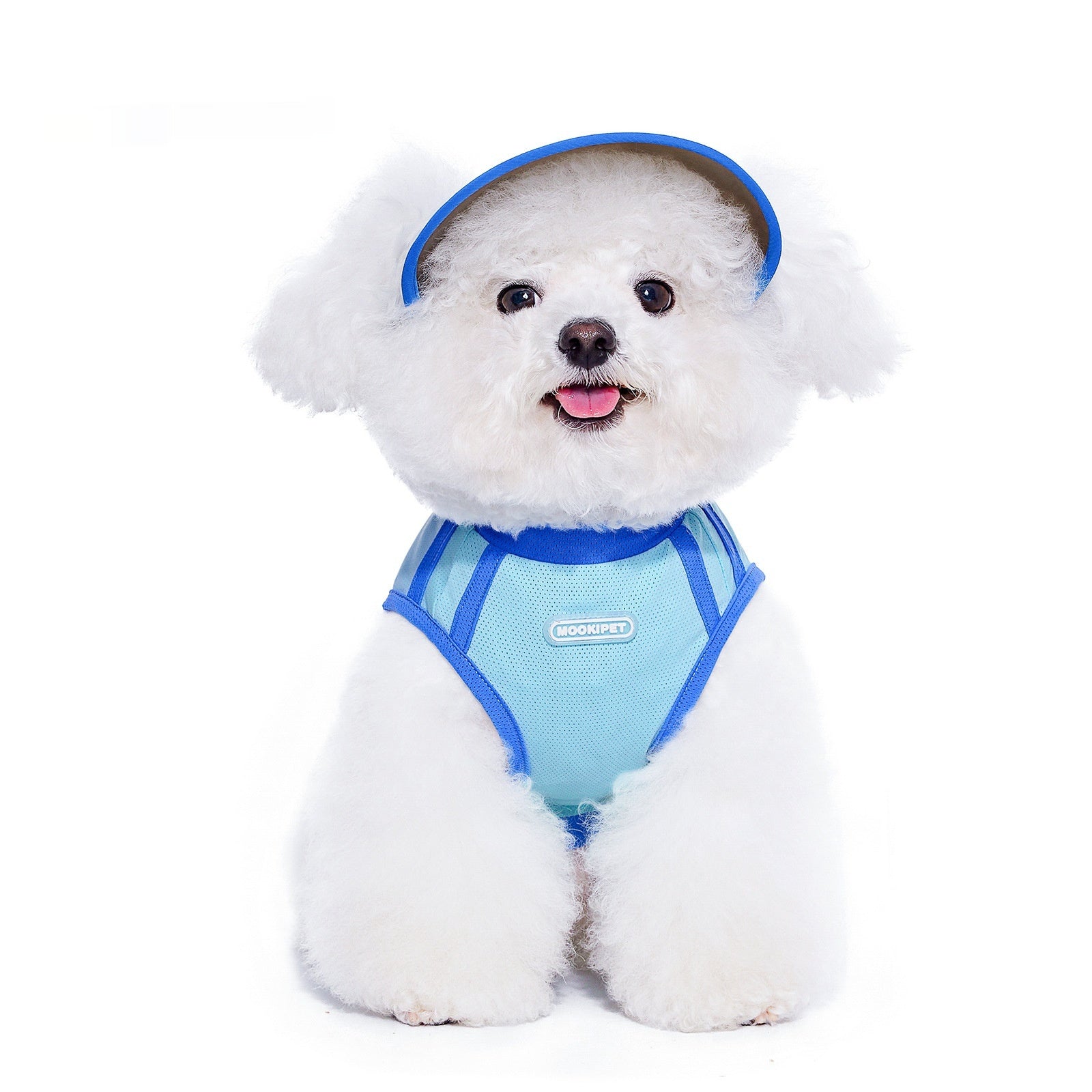 HKM-4280893 Blue Nylon Dog Hat for Small Dogs - Casual Style for Spring and Autumn