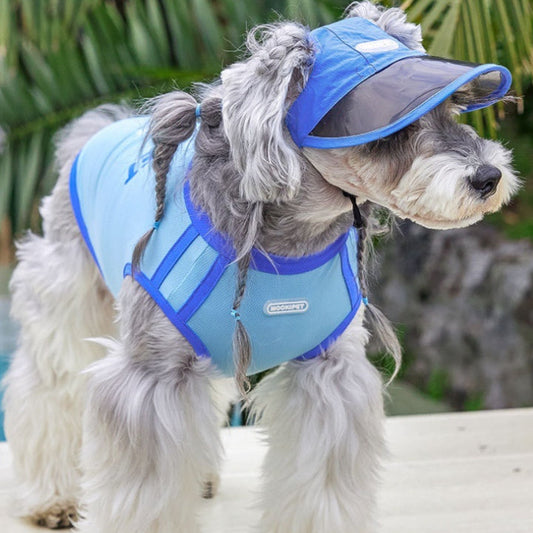 HKM-4280893 Blue Nylon Dog Hat for Small Dogs - Casual Style for Spring and Autumn