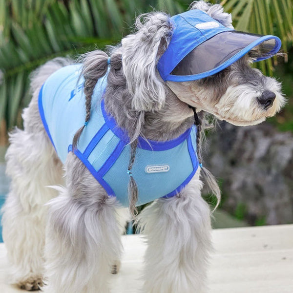 HKM-4280893 Blue Nylon Dog Hat for Small Dogs - Casual Style for Spring and Autumn