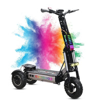 HKM-428435 13 Inch Off-Road Three-Wheel Electric Scooter with 60-80km Range and 70-80km/h Max Speed