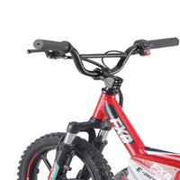 HKM-428499 16 Inch Aluminum Alloy Electric Balance Bike for Kids, 36V 350W Motor, 2 Speed, Disc Brake System