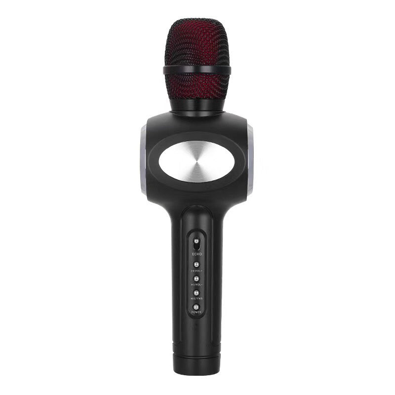 HKM-429587 Capacitive Mobile Microphone with Echo Reverberation, 5W Dual Output, 2000mAh Battery