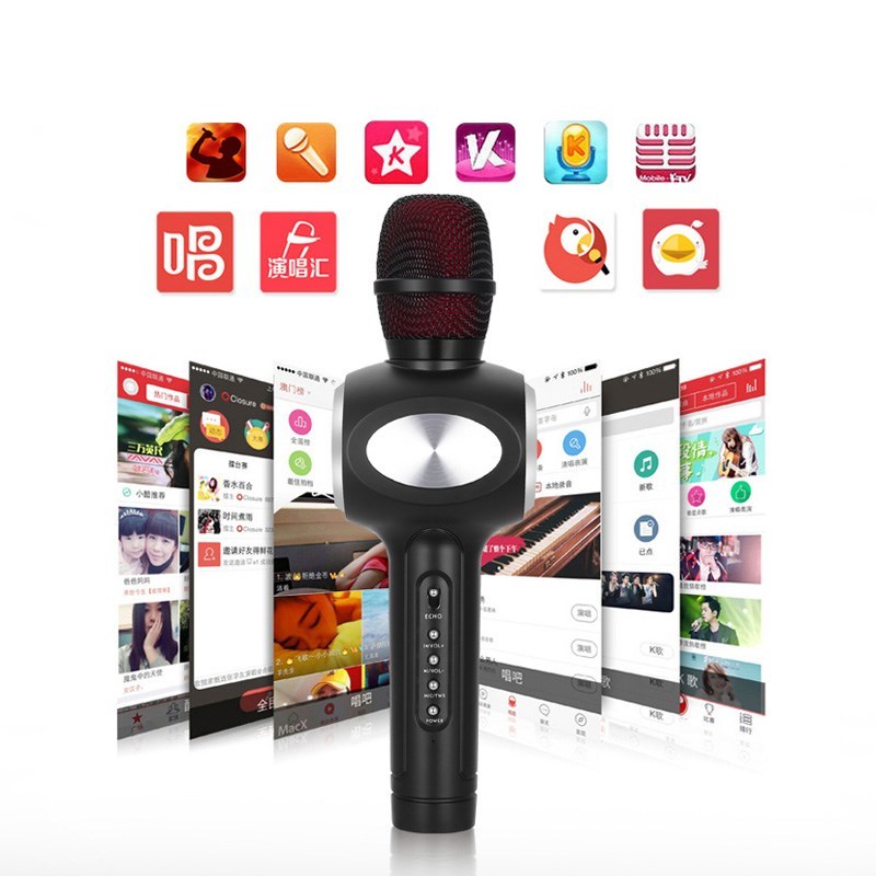 HKM-429587 Capacitive Mobile Microphone with Echo Reverberation, 5W Dual Output, 2000mAh Battery