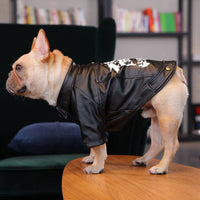 HKM-4295997 Warm Plush Velvet Dog Outfit with PU Leather for Cold Weather Wear