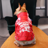 HKM-4295997 Warm Plush Velvet Dog Outfit with PU Leather for Cold Weather Wear