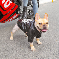 HKM-4295997 Warm Plush Velvet Dog Outfit with PU Leather for Cold Weather Wear