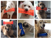 HKM-4298429 Durable TPR Vocal Toy for Large Dogs - Sounding Magic Stick, 25x8CM