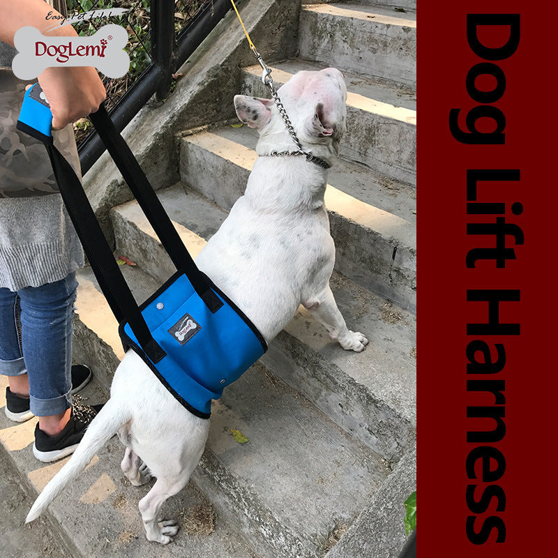 HKM-4302653 Dog Leg Injury Protection Walking Belt - Oxford Cloth & Mesh - Size S, M, L, XL - Blue & Gray Options