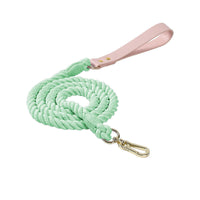 HKM-4303165 Adjustable Rainbow Traction Rope and Collar Set for Medium and Large Dogs