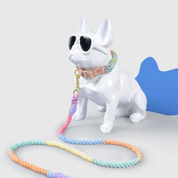 HKM-4303165 Adjustable Rainbow Traction Rope and Collar Set for Medium and Large Dogs