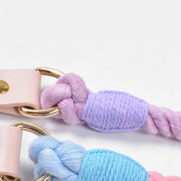HKM-4303165 Adjustable Rainbow Traction Rope and Collar Set for Medium and Large Dogs
