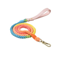 HKM-4303165 Adjustable Rainbow Traction Rope and Collar Set for Medium and Large Dogs