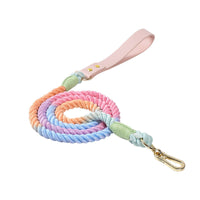 HKM-4303165 Adjustable Rainbow Traction Rope and Collar Set for Medium and Large Dogs