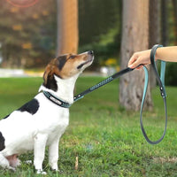 HKM-4305341 Personalized Leather Anti-Lost Dog Tag for Puppies - Sustainable & Fast Release