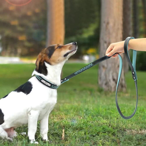 HKM-4305341 Personalized Leather Anti-Lost Dog Tag for Puppies - Sustainable & Fast Release