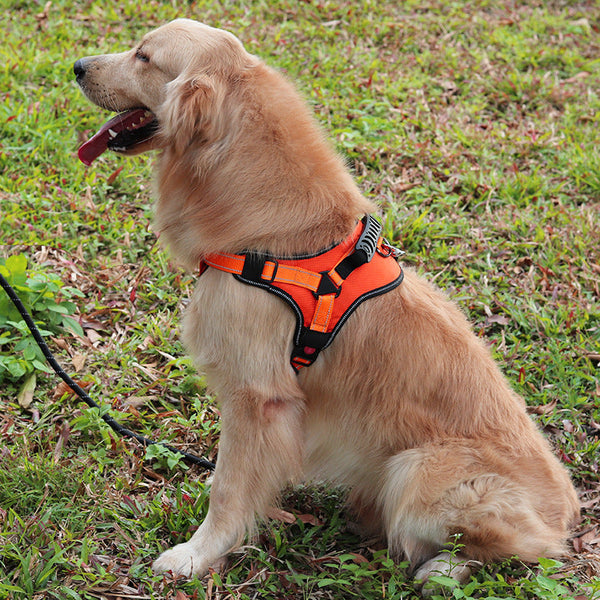 HKM-4308413 Large Dog Chest Harness with Traction and Explosion-proof Design, Orange Polyester Construction