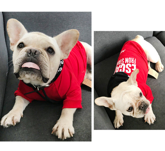 HKM-4309693 Terry Cotton Casual Letter Print Dog Sweater in Black and Red