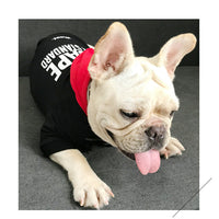HKM-4309693 Terry Cotton Casual Letter Print Dog Sweater in Black and Red