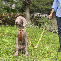 HKM-4310589 I-Shaped Pet Chest Harness with Leash and Collar in Multiple Colors