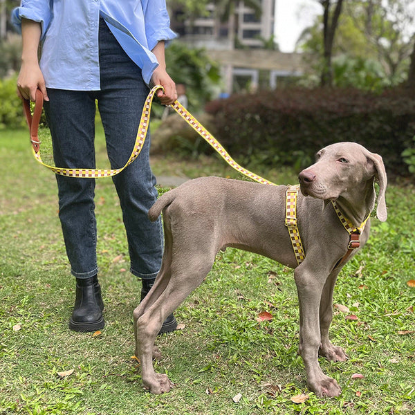 HKM-4310589 I-Shaped Pet Chest Harness with Leash and Collar in Multiple Colors