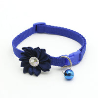 HKM-4311101 Bell-Shaped Dog Collar - Durable Polypropylene Material - One Size Fits All