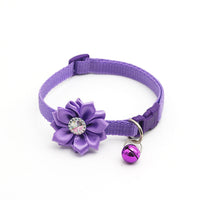 HKM-4311101 Bell-Shaped Dog Collar - Durable Polypropylene Material - One Size Fits All