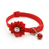HKM-4311101 Bell-Shaped Dog Collar - Durable Polypropylene Material - One Size Fits All