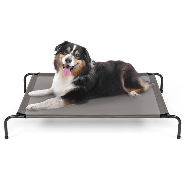 HKM-4313533 Elevated Dog Bed with Durable Textilene Mesh for Comfort and Support