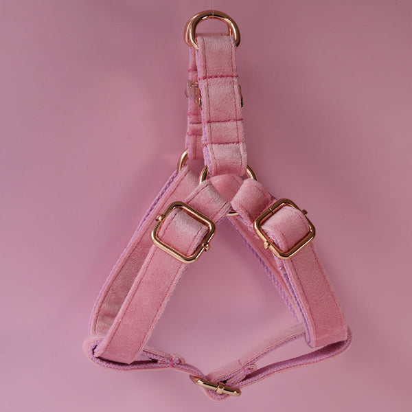 HKM-4314173 Flannel Pet Chest Harness for Dogs with Leash - Adjustable Sizes S to XL