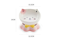 HKM-4315069 Ceramic Cat Bowl for Healthy Eating - Pink and Blue, 155g Grain & 300ml Water Capacity