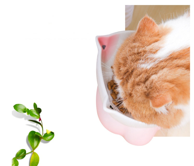 HKM-4315069 Ceramic Cat Bowl for Healthy Eating - Pink and Blue, 155g Grain & 300ml Water Capacity