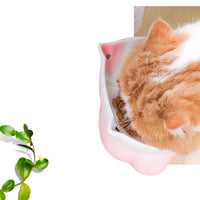 HKM-4315069 Ceramic Cat Bowl for Healthy Eating - Pink and Blue, 155g Grain & 300ml Water Capacity