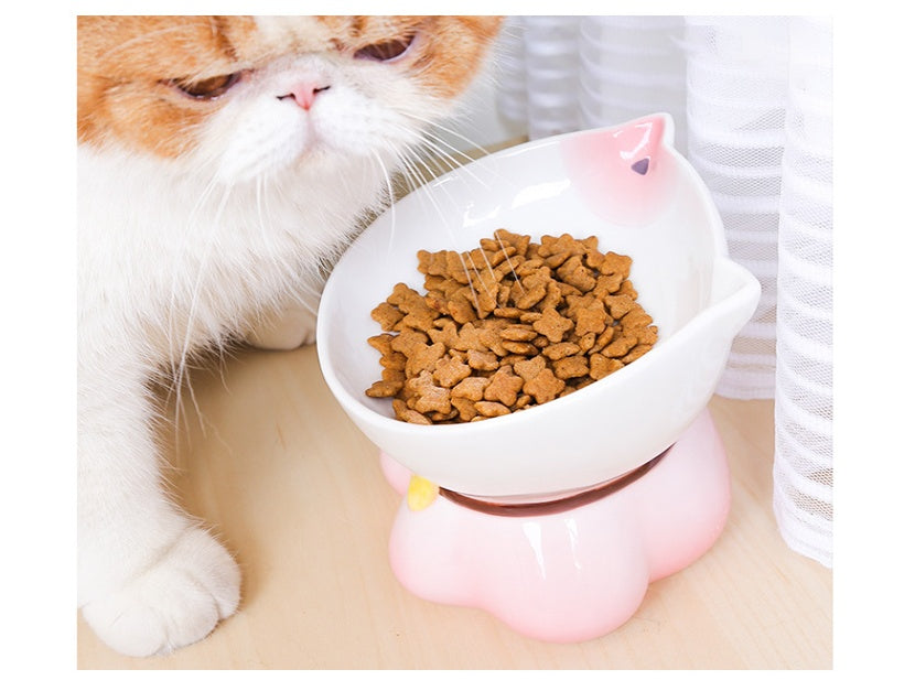HKM-4315069 Ceramic Cat Bowl for Healthy Eating - Pink and Blue, 155g Grain & 300ml Water Capacity