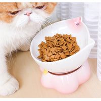 HKM-4315069 Ceramic Cat Bowl for Healthy Eating - Pink and Blue, 155g Grain & 300ml Water Capacity