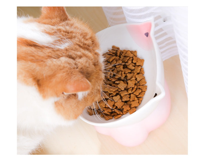 HKM-4315069 Ceramic Cat Bowl for Healthy Eating - Pink and Blue, 155g Grain & 300ml Water Capacity