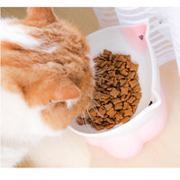 HKM-4315069 Ceramic Cat Bowl for Healthy Eating - Pink and Blue, 155g Grain & 300ml Water Capacity